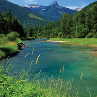 Greeting Cards 2 - 5 Pack