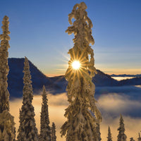 Greeting Cards - 5 Pack - HOLIDAY 2