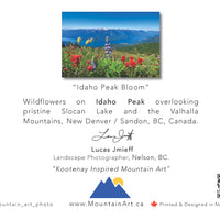 Greeting Cards - 5 Pack