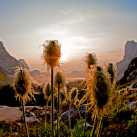 Greeting Cards - 5 Pack