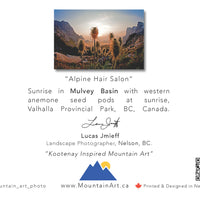 Greeting Cards - 5 Pack