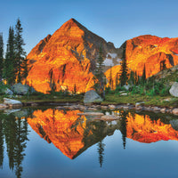 Greeting Cards - 5 Pack