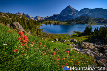 valhalla park gwillim lakes wildflowers bc 