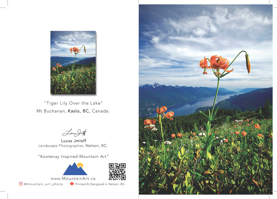 Greeting Cards - 5 Pack