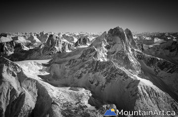 "Bugaboo View"