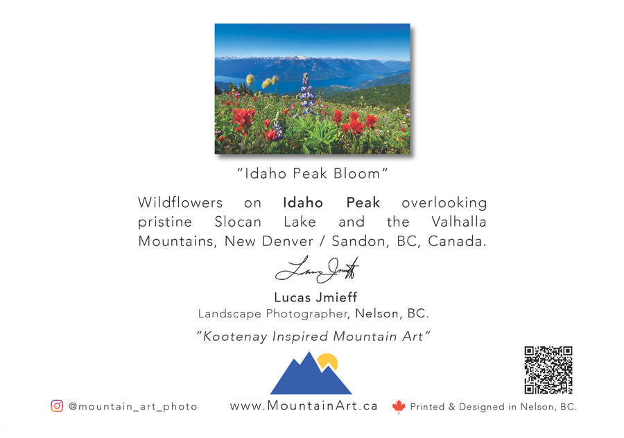 Greeting Cards - 5 Pack