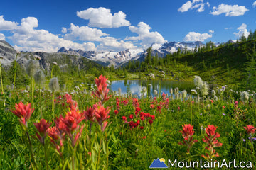 monica meadows wildflowers and glaciers purcell mountains bc canada