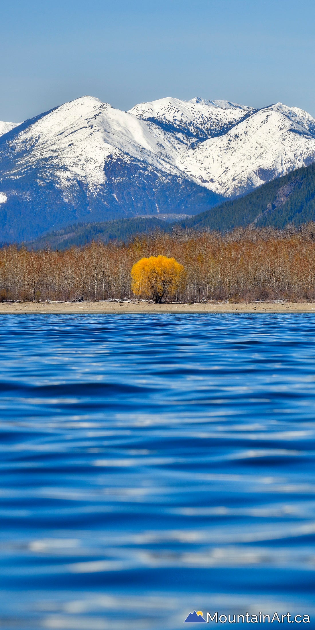 Beautiful 16x24 Canvas Print of Loon Lake, BC: Photo Art of the Week –  Posterjack