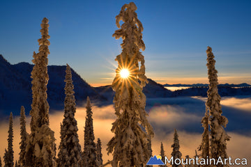 whitewater ski area snow covered trees sun