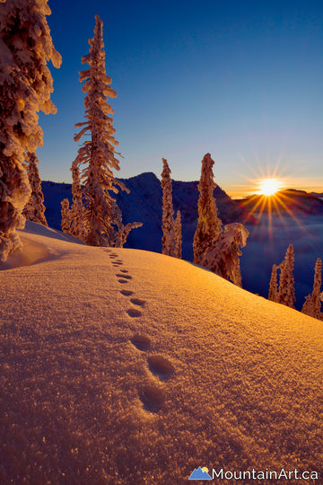 whitewater ski alpenglow sunset  winter rabbit tracks