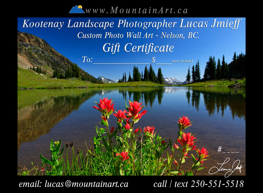 Gift Certificate