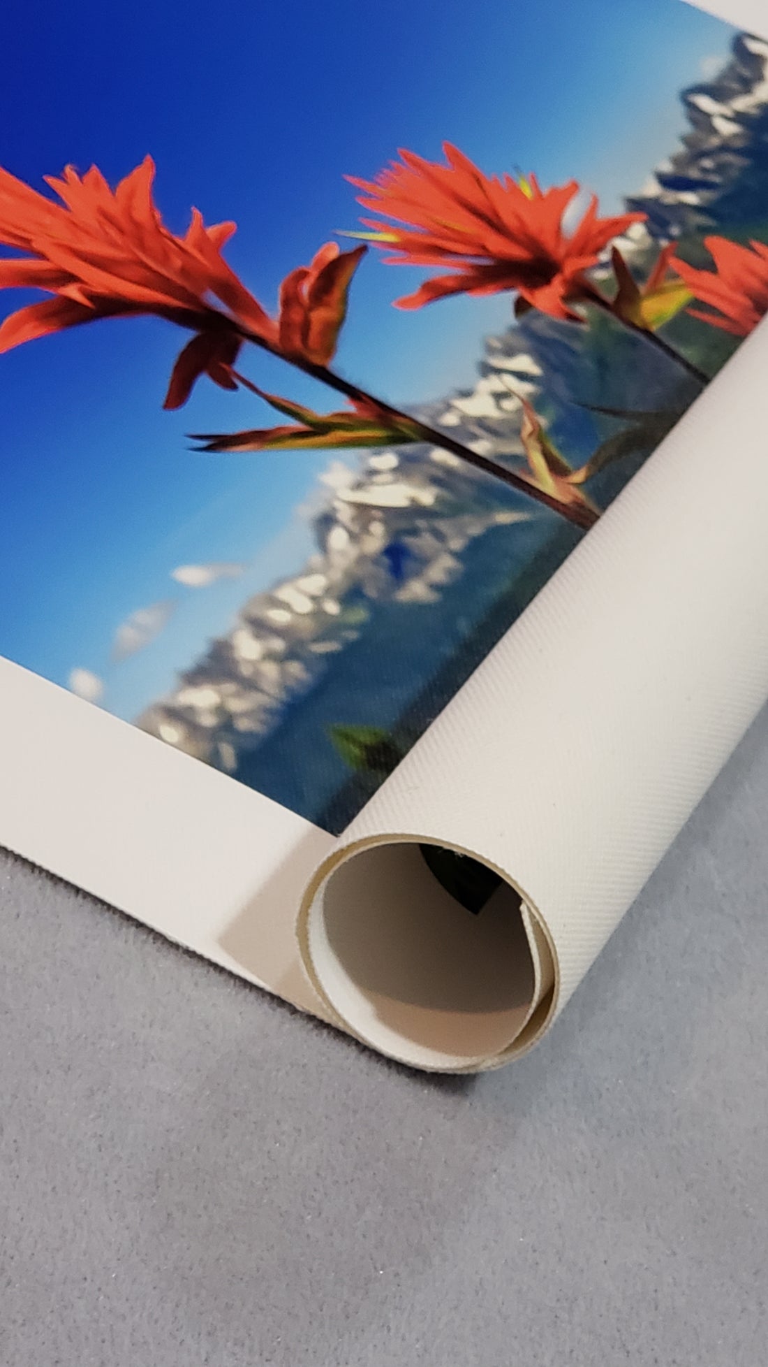 Rolled Canvas Photo Print