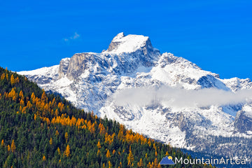 Snow covered Devil's Couch Mountain with golden larch trees in Valhalla Park, BC.