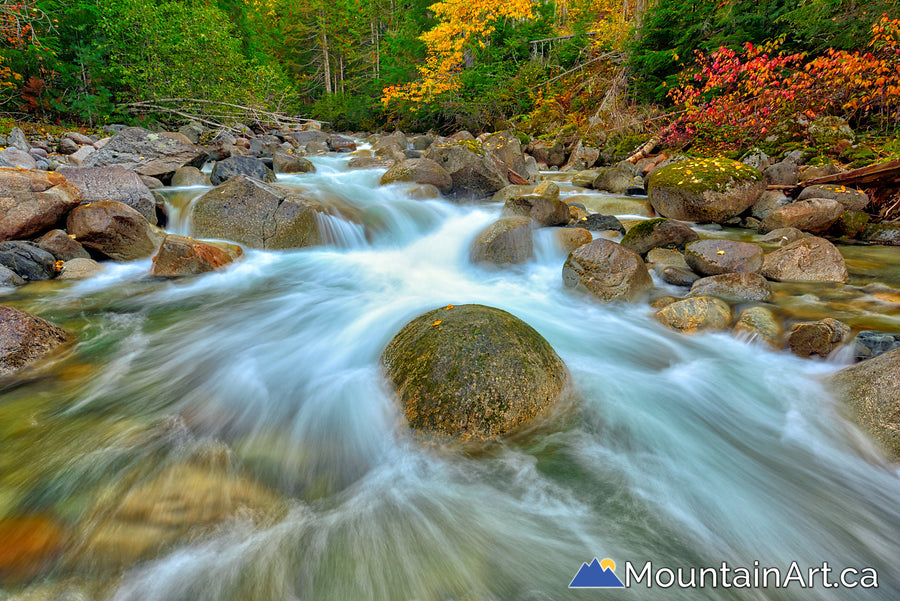 enterprise creek kokanee glacier park flowing water autumn