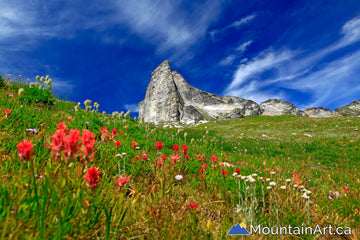 Mt Gimli and paintbrush wildflowers, Valhalla Park, BC, West Kootenay.