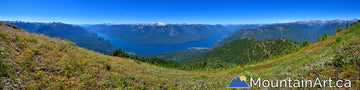 idaho peak panorama wildflowers vista slocan lake valhalla park