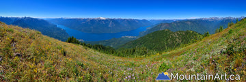 idaho peak wildflower panorama with slocan lake and valhalla park