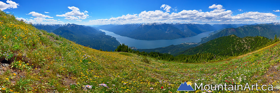 Idaho Peak wildflowers panorama Slocan Lake and Valhalla park