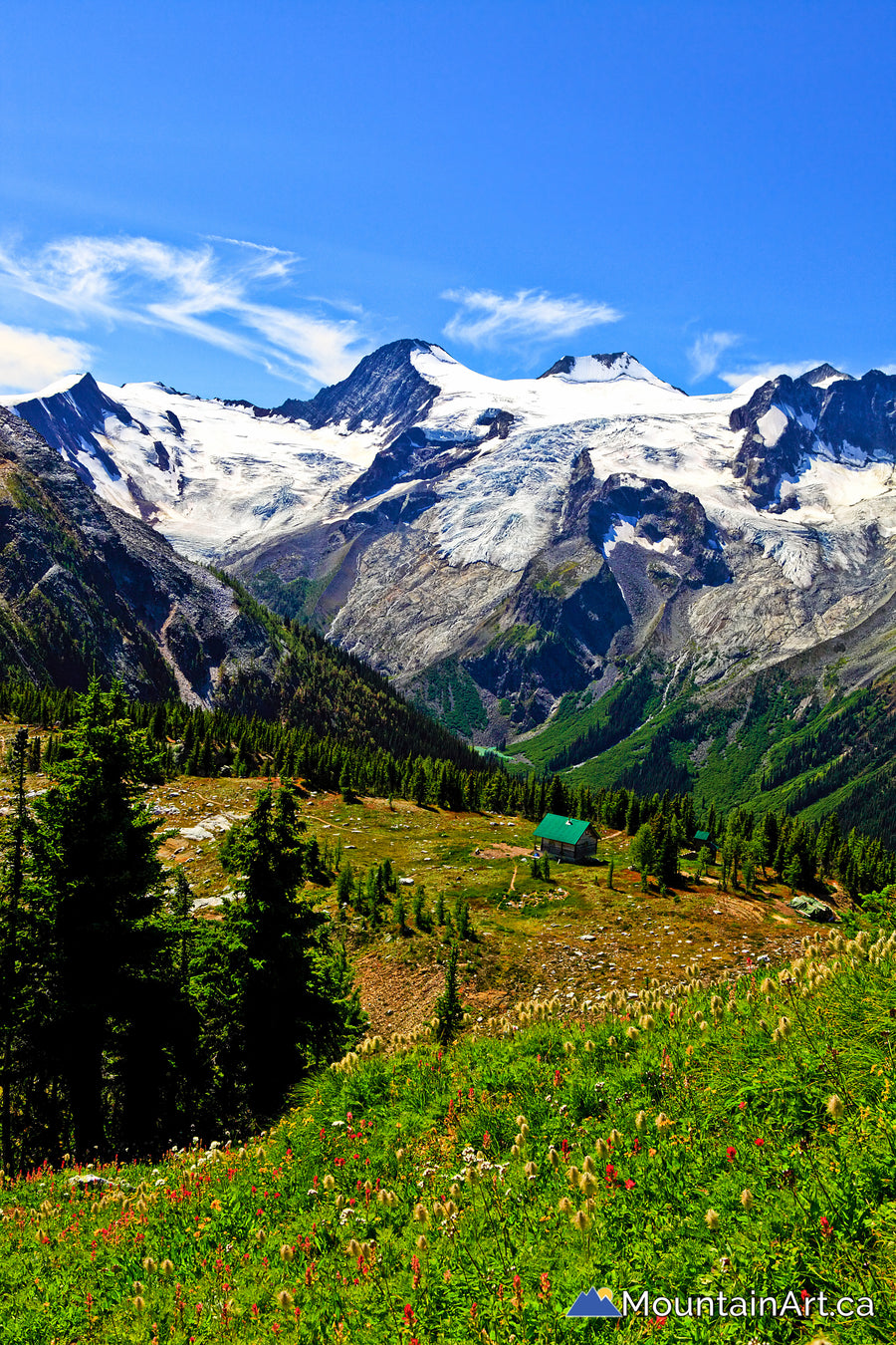 Jumbo Pass wildflowers with cabin and glaciers, Purcell Mountains, BC.