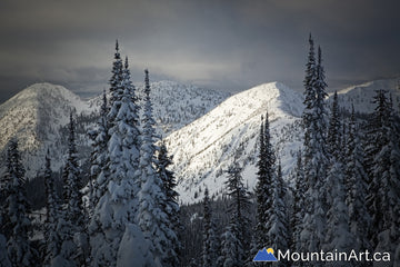 "Kootenay Pass Winter"