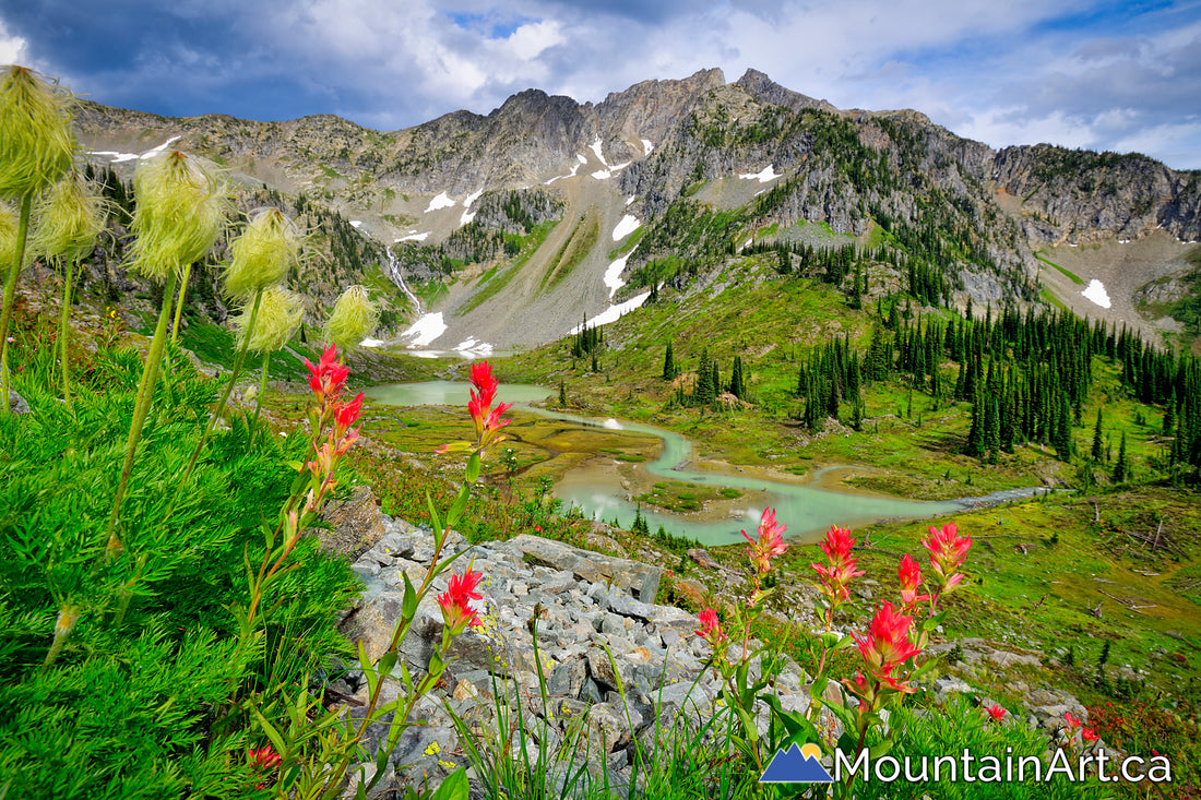 lyle lakes wildflowers mt brennan goat range park bc