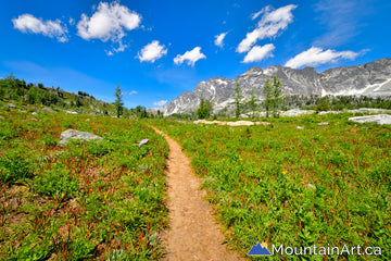 monica meadows hiking trail purcell mountains bc
