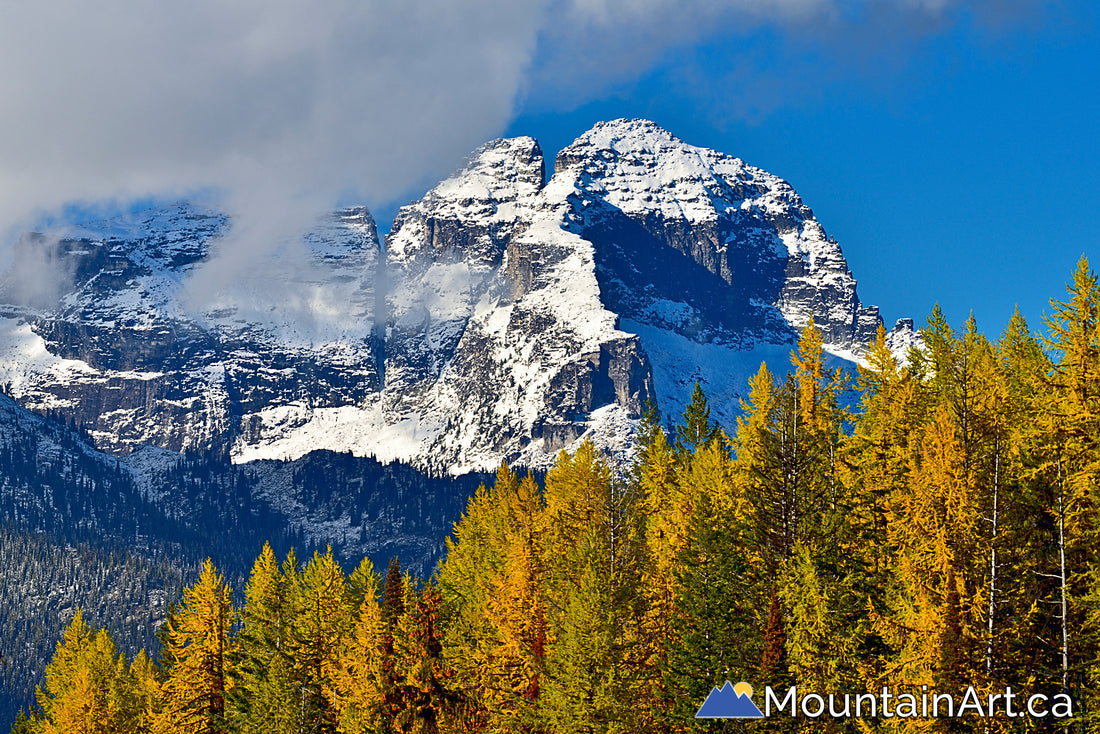 mt dag autumn in valhalla park slocan bc 