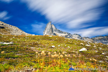 Mt Gimli Valhalla Park alpine hiking climbing paradise, BC, Canada
