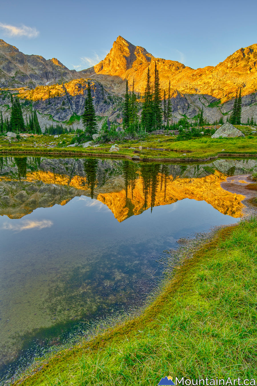 "Gwillim Golden Hour"