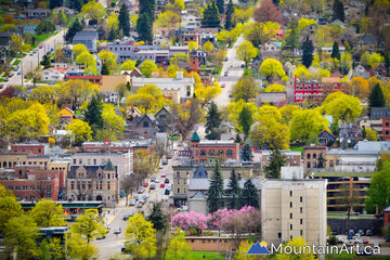 nelson bc downtown uphill spring blooms