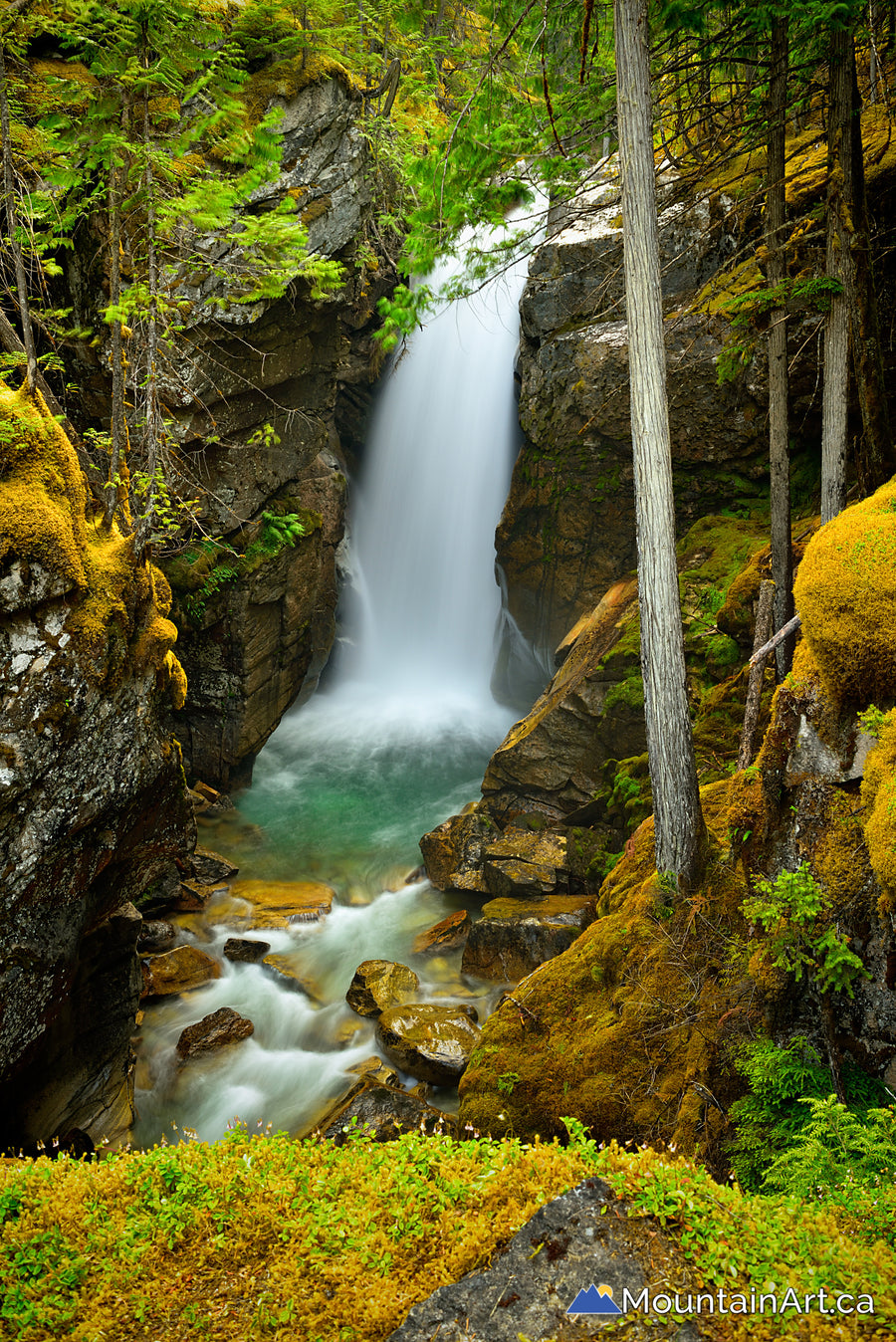 Upper Nemo Creek waterfall mossy canyon Valhalla Park Slocan Lake BC