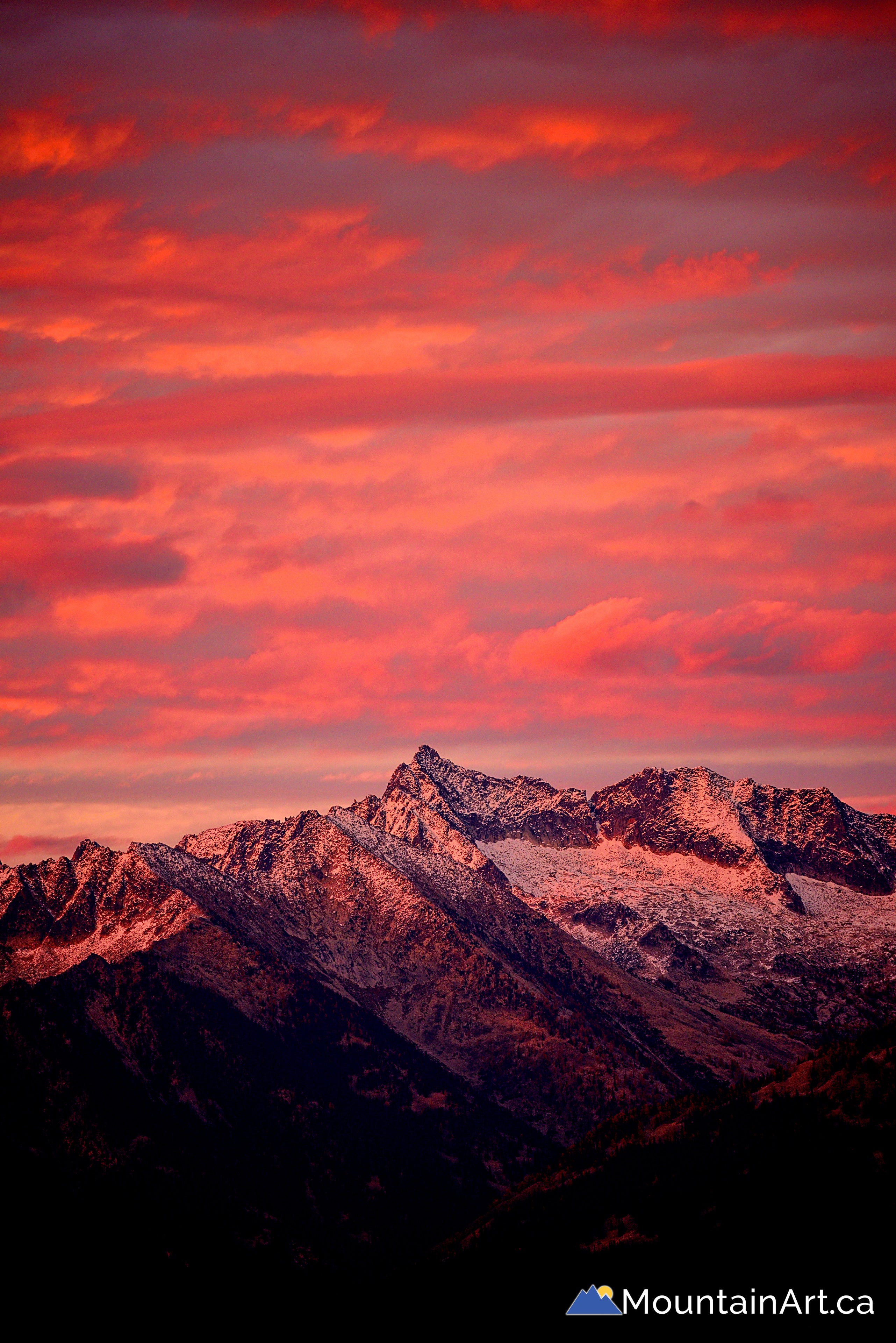 【中古】「非常に良い」High Quality Digital Image for Professional Vol.49 Mountains purcell-mountains-sunset-snow-