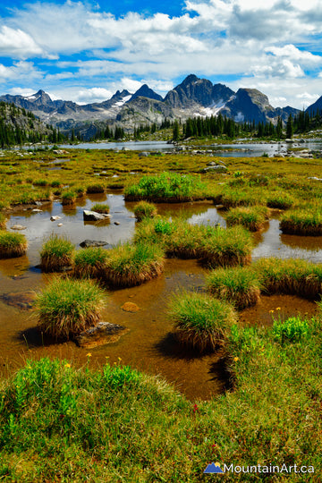 gwillim lakes valhalla park alpine hike drinnon pass bc