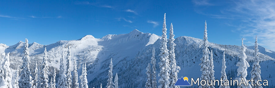 Whitewater Ymir Bowl backcountry winter panorama, Nelson, BC. 