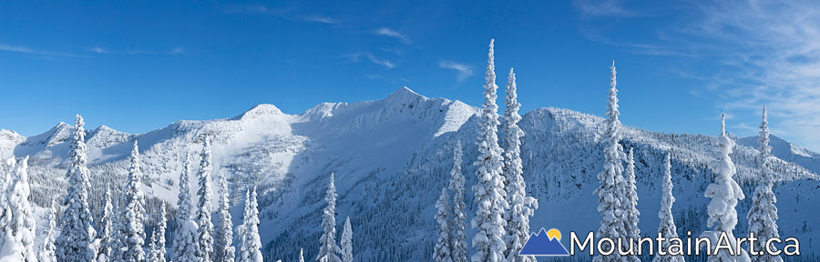 Whitewater Ymir Bowl backcountry winter panorama, Nelson, BC. 